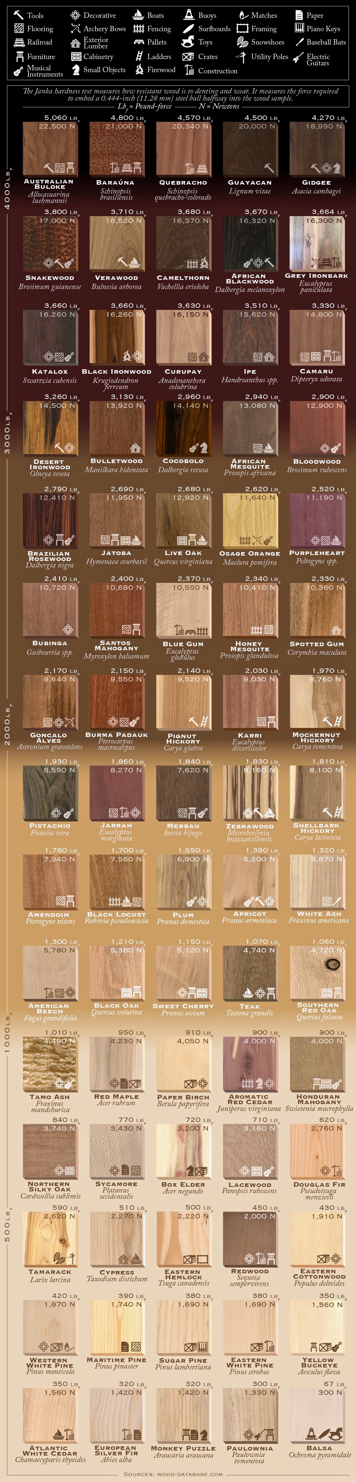75 Types of Wood Ranked by Janka Hardness and How They Are Used